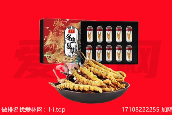 赣州回收虫草.jpg